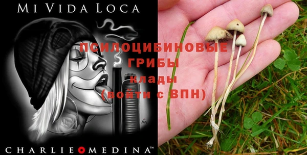 Альфа ПВП Богородск
