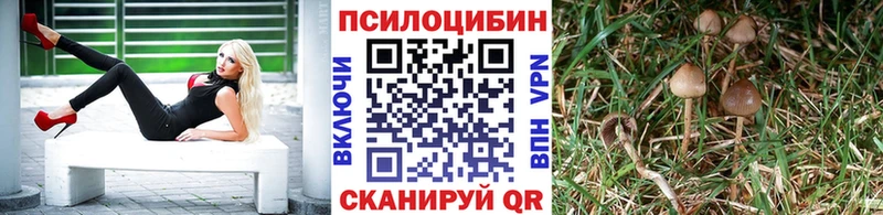 Псилоцибиновые грибы Psilocybe Краснослободск