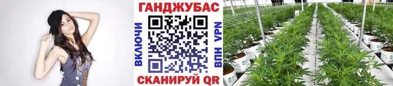Шишки марихуана White Widow  магазин    Краснослободск 